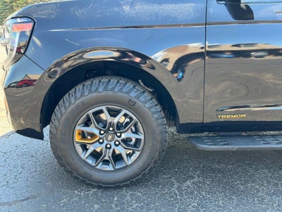2025 Ford Expedition Tremor