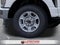 2026 Ford F-350SD XLT In-Transit