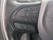 2019 Chrysler Pacifica Limited S Appearance Pkg