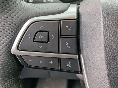 2025 Toyota SIENNA PLT AWD Platinum 7 Passenger