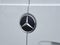 2025 Mercedes-Benz Sprinter 2500 2500 Standard Roof I4 Diesel 144" RWD