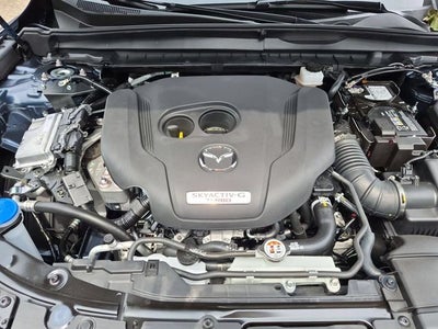2026 Mazda Mazda CX-50 2.5 Turbo Premium Plus