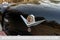 1955 Dodge Lancer Base