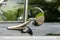 1966 Chevrolet Chevelle Ss SS