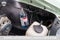 1967 Chevrolet Chevelle SS
