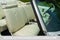 1975 Chevrolet Caprice Base