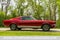 1967 Ford Mustang GT