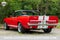 1967 Ford Mustang GT350