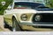 1969 Ford Mustang Mach 1