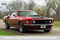 1969 Ford Mustang Mach 1