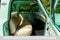 1970 Ford F100 Base