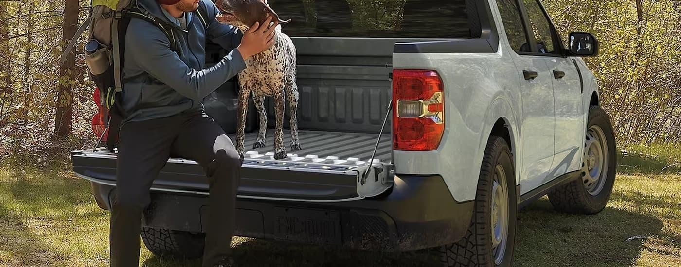 Dog in the bed of a light grey 2024 Ford Maverick